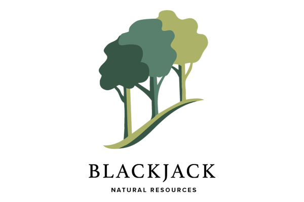 Blackjack Natural Resources logo
